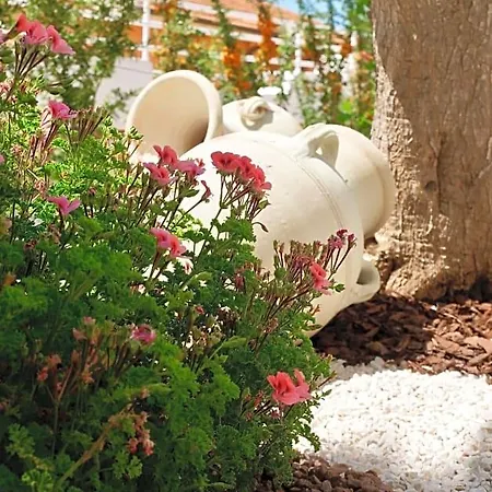Elite Bed & Breakfast San Leone