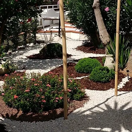 Elite Bed & Breakfast San Leone