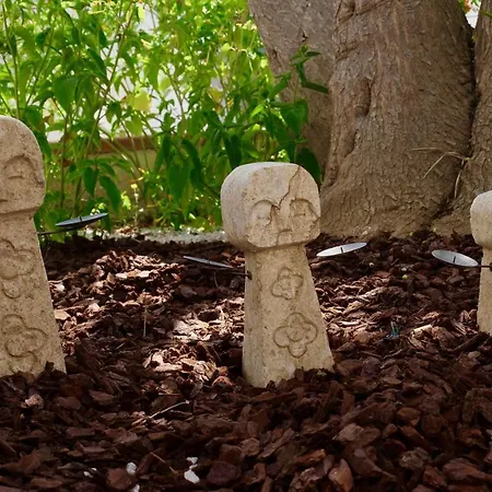 Elite Bed & Breakfast