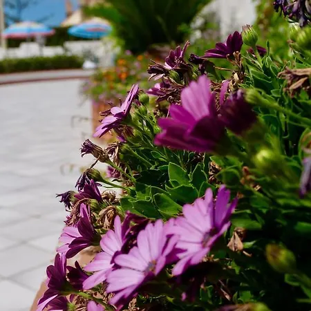 Elite Bed & Breakfast 3*