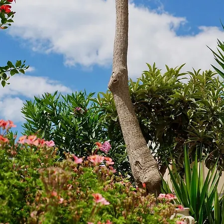 Elite Bed & Breakfast