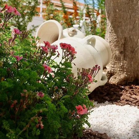 Bed & Breakfast Elite 3*